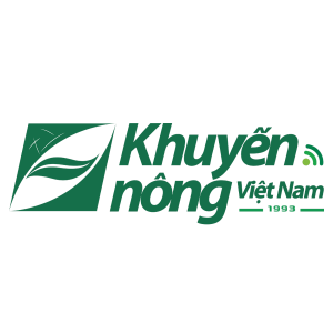 knvn.png